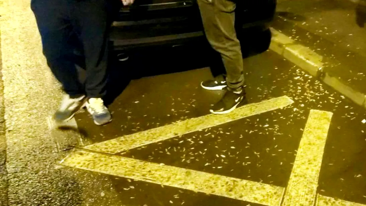 Ce au PĂȚIT patru bărbați din Sectorul 6 care au aruncat coji de semințe pe jos. Polițiștii locali au pozat totul și le-au arătat dovada