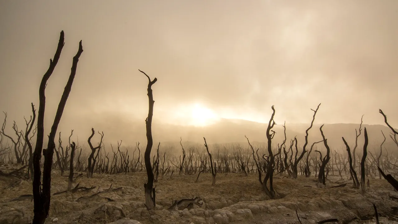 Căldura va continua să facă victime. Mai multe orașe vor fi de nelocuit