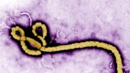 Noua armă împotriva virusului Ebola