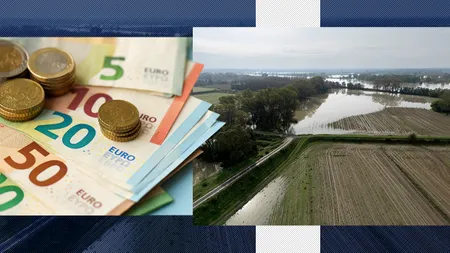 Fermierii din România care s-au ales cu recoltele distruse de fenomenele meteo extreme ar putea primi bani de la UE. Despre ce sume este vorba
