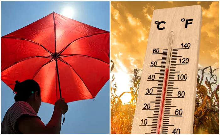 Caniculă în Europa: peste 10.000 de oameni au murit într-o singură săptămână