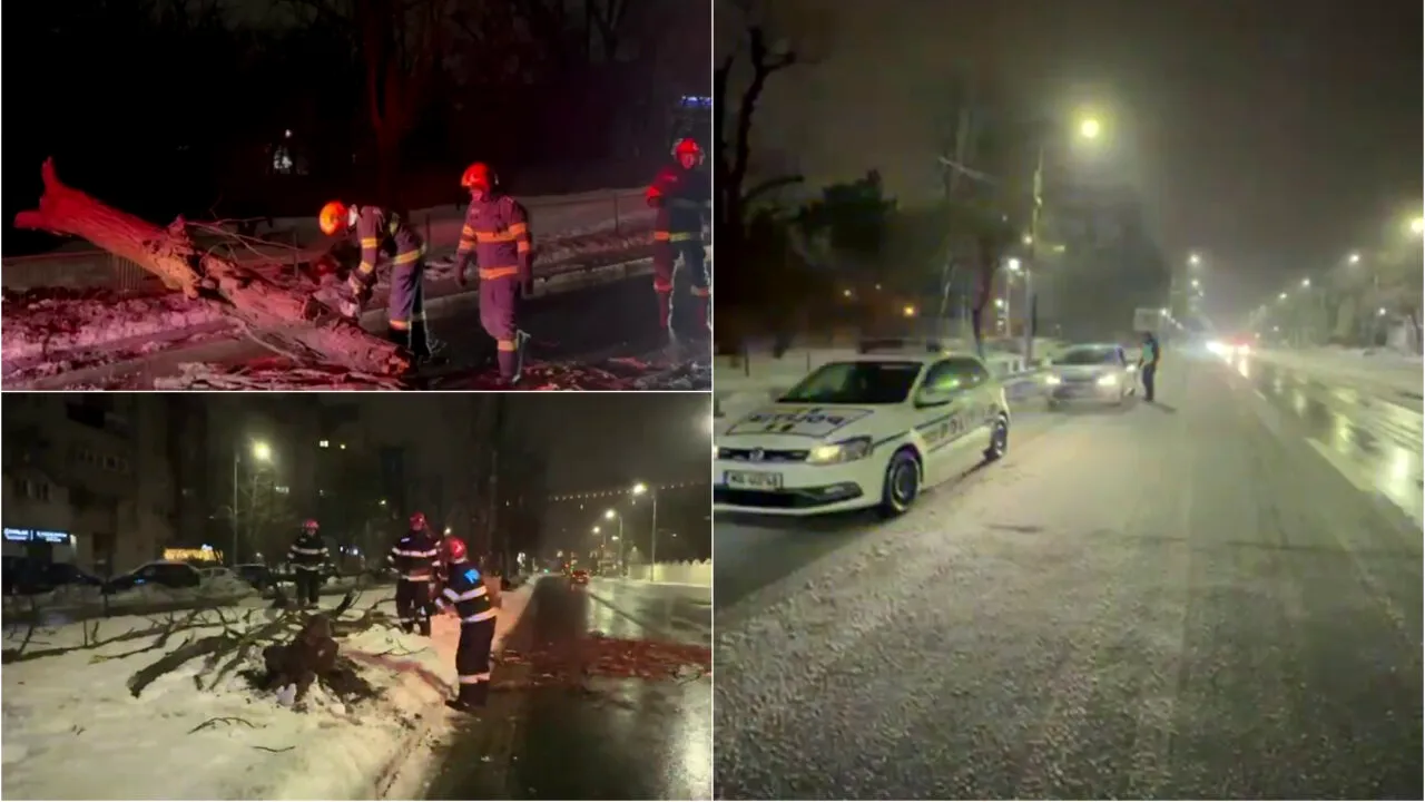 Cod galben de ninsori în București și alte 17 județe din țară. Viscolul a smuls copacii din rădăcini, iar mai multe autoturisme au fost avariate
