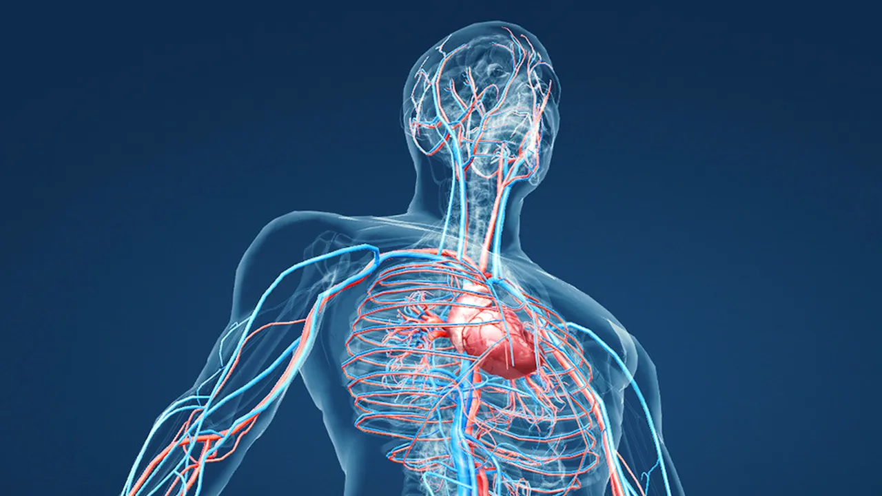 Alimente benefice. REDUC riscul de infarct și elimină colesterolul