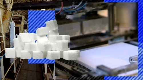 EXCLUSIV VIDEO | Drumul unei industrii de la dulce la amar. Cum au dispărut 30 de fabrici de zahăr