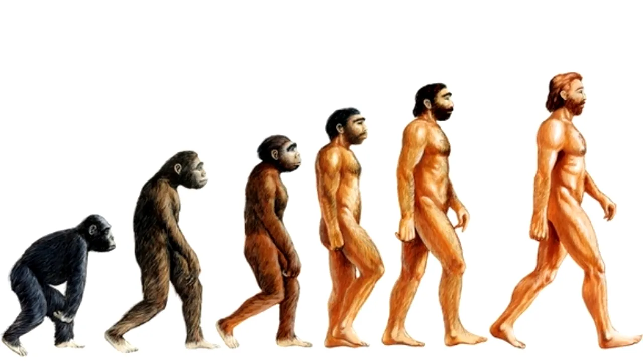 FENOMENUL care a avut rolul decisiv în evoluția speciei umane