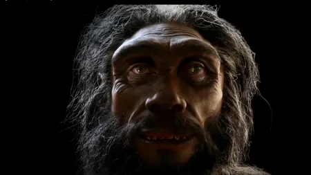 Descoperirea care explică apariția oamenilor