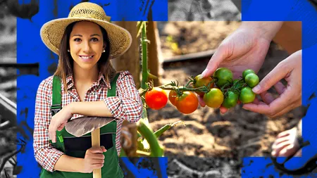 Ești grădinar? Iată ce REGULI trebuie să fie respectate pentru a nu atrage reclamații și chiar amenzi usturătoare