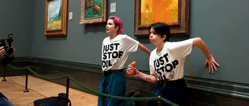 Mai mult de 90 de muzee critică acțiunile activiștilor pentru mediu care vizează lucrări de artă