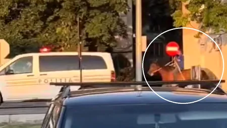 Bărbat CĂLARE pe un cal, urmărit de polițiști printre blocurile din Focșani. Imaginile au devenit rapid virale și subiect de glume (VIDEO)