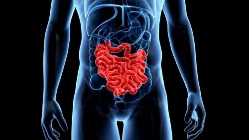 COVID-19. O bacterie bună din sistemul nostru digestiv face diferența dintre moarte și viață