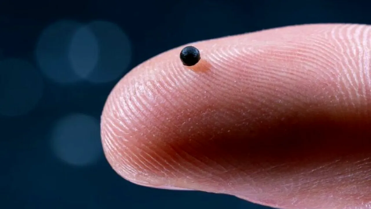 Oamenii de știință au creat un robot de mărimea unui bob de nisip. Controlat de magneți, poate transporta cu precizie medicamentele în corp