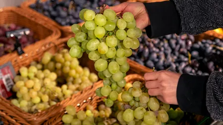 Ce a PĂȚIT o pensionară, după ce a lăsat praz și struguri pe stradă. „Am vrut să donez mâncare”