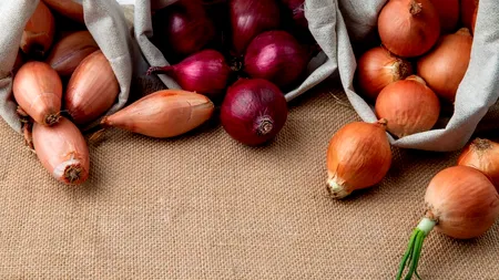 Cum să alegi ceapa. Le ce trebuie să fii atent când o cumperi