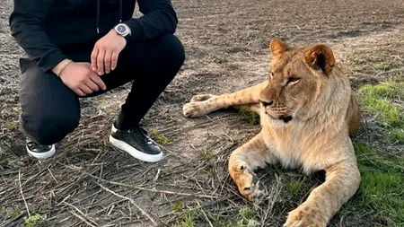 Influenceri români, susținătorii Moscovei. Ei transmit pe TikTok mesaje de susținere pentru Alexandru Stoianoglu