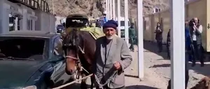 VIDEO | Nagorno-Karabah: Un cioban a trecut granița spre Armenia cu întreaga turmă de oi. Imaginile au devenit virale