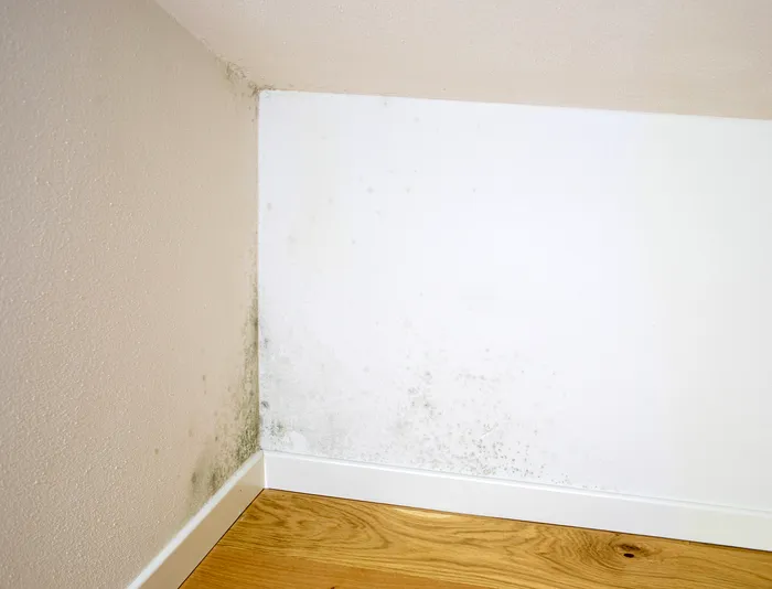 Cum scapi de „petele negre” de pe pereți care apar în urma problemelor de condens. La ce metodă poți apela