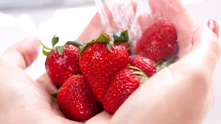 VIDEO. Afacerea bănoasă gândită de doi studenți la Agronomie. Produsele lor se găsesc deja într-un supermaket din România