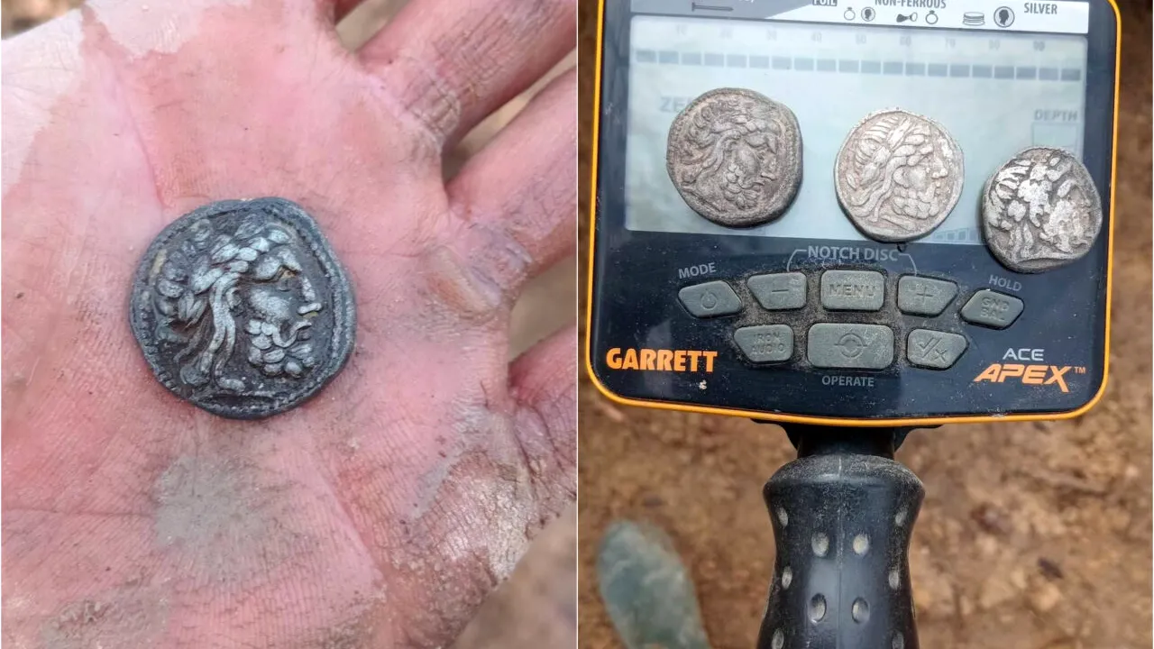 Comoara din Gorj. Un bărbat a descoperit monede grecești din epoca lui Filip al II-lea