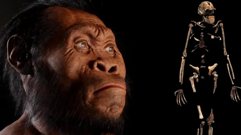 Descoperire de proporții în Africa. Ce secrete ascunde Homo naledi, unul din strămoșii omului