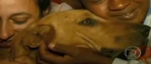 Povestea emoționantă a unui câine care străbate zilnic șase kilometri pentru a-și hrăni prietenii. VIDEO