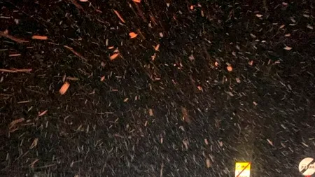 DRDP Braşov a anunţat că s-a ridicat restricţia de circulaţie de pe DN15 Topliţa-Borsec