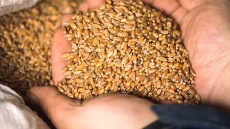 România şi alte patru ţări UE au ajuns la un acord cu Comisia Europeană privind tranzitul cerealelor ucrainene