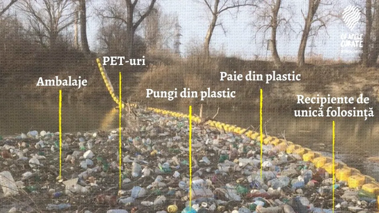 Poluarea apelor, o problemă globală. Cât PLASTIC poartă Dunărea noastră?