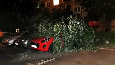 UPDATE. Copaci smulși de vânt, antenă căzută pe două case, două femei rănite. Imaginile ravagiilor făcute de furtuna din București