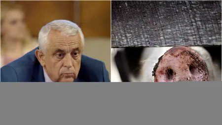 Daea, despre unul dintre marile lui regrete din mandat: „Este suferința mea profesională