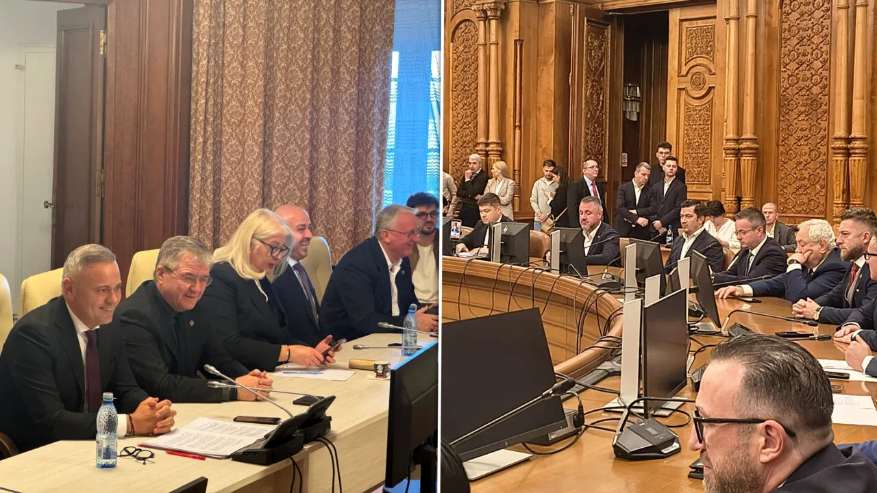 Au început audierile miniștrilor propuși de Luca Niculescu. Alexandru Stoica, propus pentru Dezvoltare, și Florin Barbu, pentru Agricultură, au primit aviz favorabil. Dumitru Chisăliță, audiat pentru Ministerul Energiei