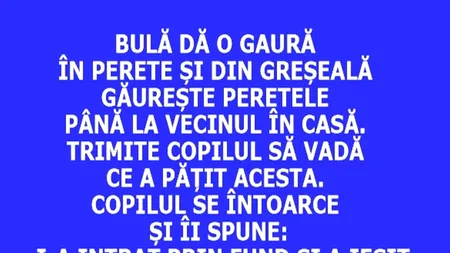 BANC | Bulă dă o gaură în perete