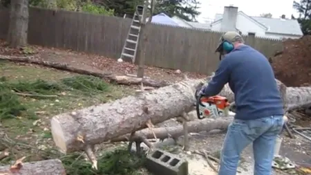 Un bărbat din județul Argeș a murit în gospodăria sa, strivit de copacul pe care îl tăia