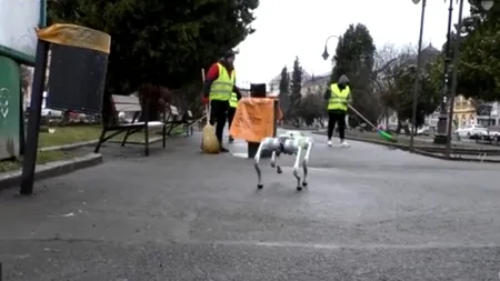 Orașul din România în care roboții fac ordine pe străzi. „Vă rugăm să păstraţi curăţenia! Colectați deșeurile selectiv!”