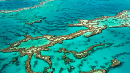 Cât costă salvarea Marii Bariere de Corali