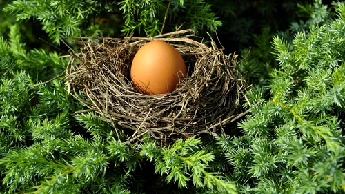 Arheologii au descoperit un ou de găină intact, vechi de 1.000 de ani