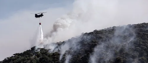 Puternic incendiu de vegetație în Grecia. Zeci de pompieri intervin pentru stingerea focului