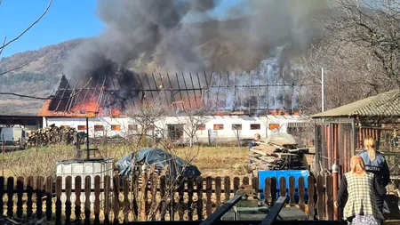 Incendiu la un atelier de prelucrare a lemnului. Au intervenit 80 de pompieri