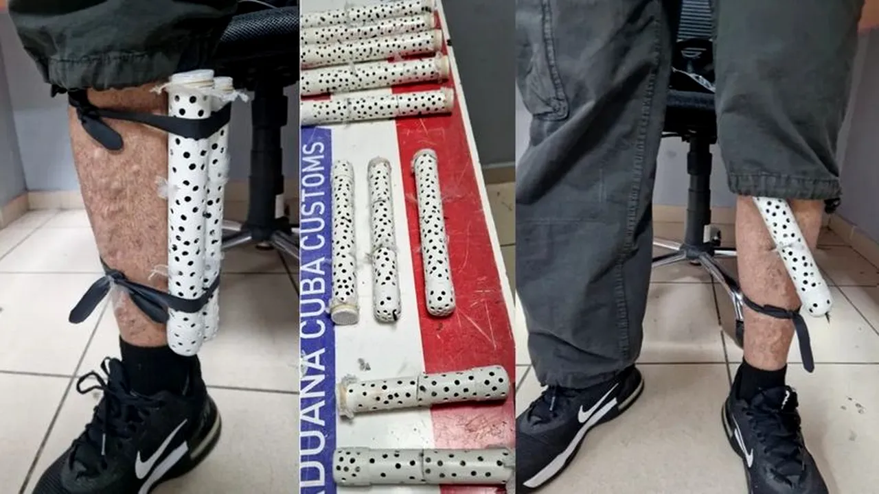 Cum a vrut un bărbat să scoată ilegal din țară 28 de păsări. A fost prins pe aeroportul din Havana