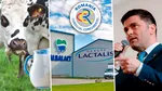 La sesizarea parlamentarilor, Consiliul Concurenţei a amendat Lactalis cu aproape 3 milioane de euro, iar retailerii şi furnizorii, cu peste 50 milioane de euro