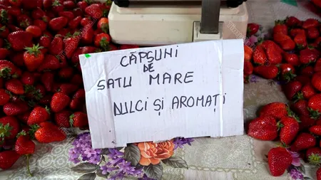 Au apărut primele CĂPȘUNI românești din 2023. Ireal câți lei costă 1 kilogram