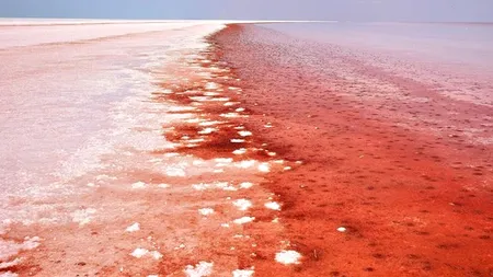 „O adevărată baie de sânge