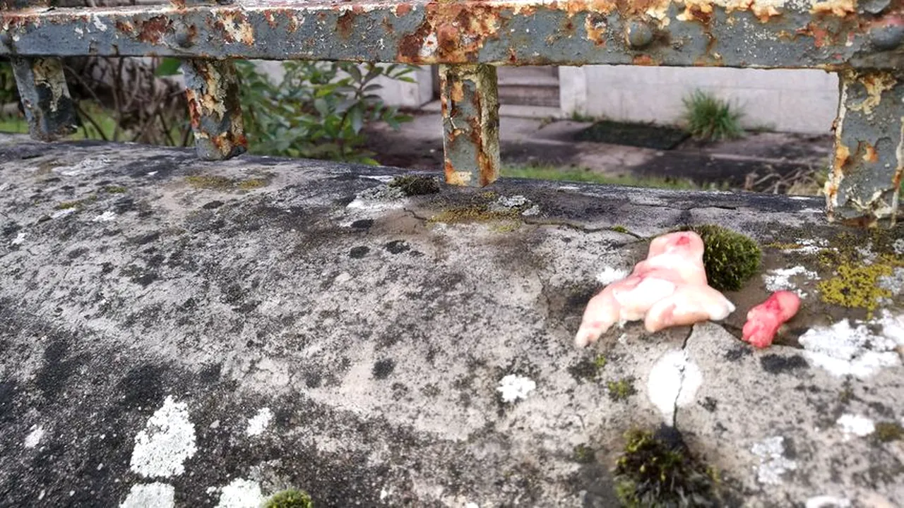 Două capete de porc tăiate în două, agățate de gardul unui viitor loc de cult musulman în Franța