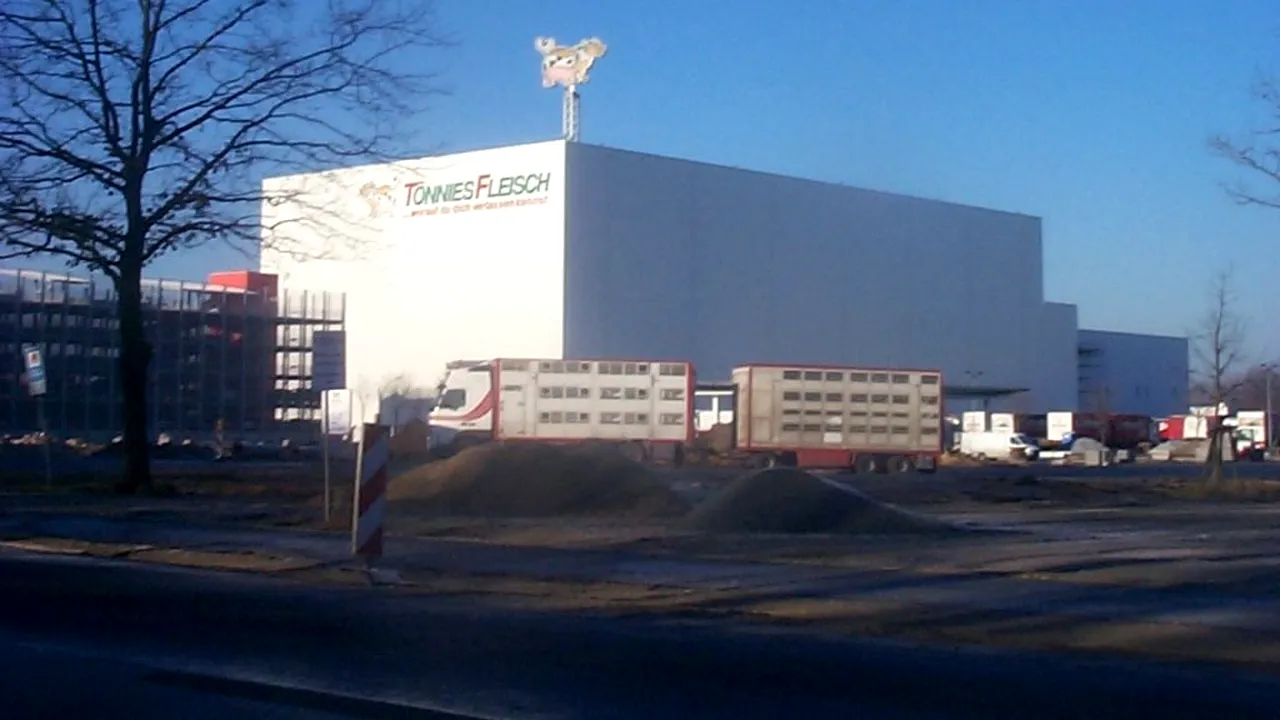 Muncitorii români de la abatorul Tonnies, rechemați la muncă. Ce măsuri suplimentare anunță Berlinul