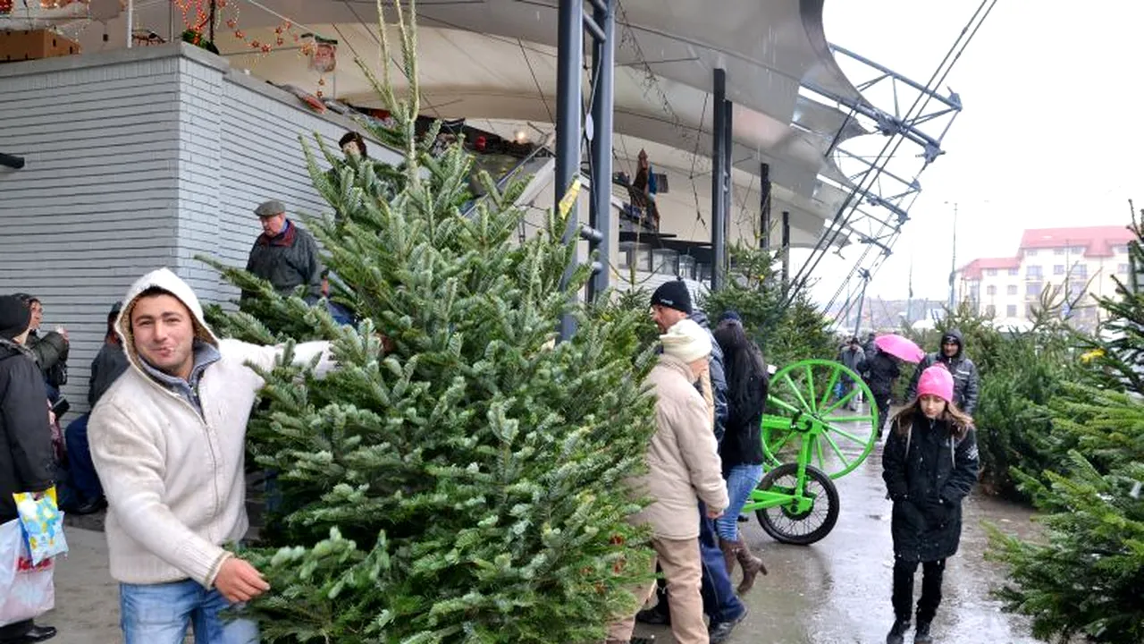 Peste 4.700 de brazi au fost confiscați de polițiști, în ultima săptămână