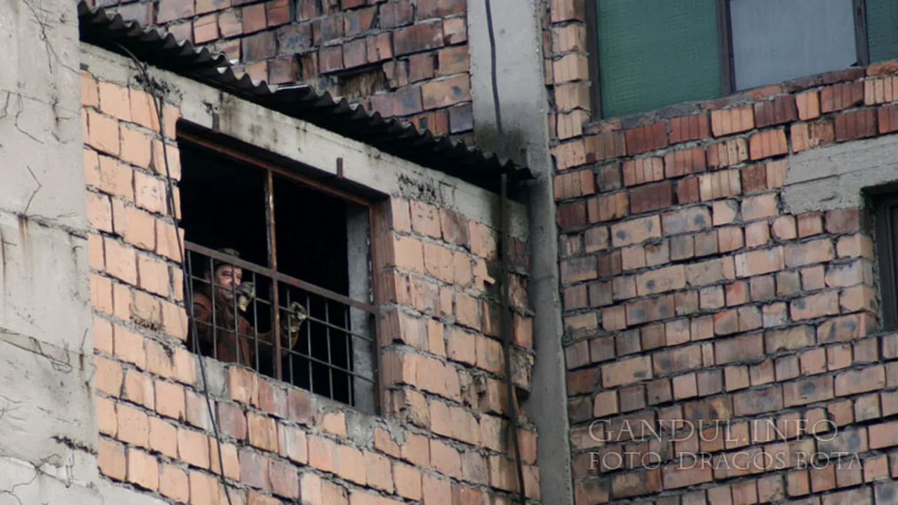 Pedepse de 4 și 6 ani de închisoare pentru foști directori de la EM Petrila în dosarul exploziilor