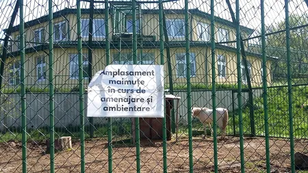 Orașul din România unde s-a cheltuit o jumătate de milion de euro pentru un adăpost de lux pentru maimuțe, animale care însă NU există la Grădina ZOO din localitate