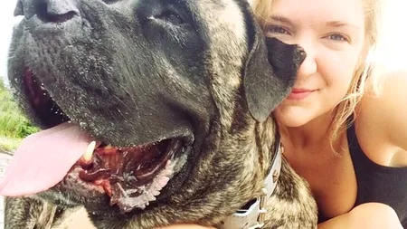 Gestul inedit al unui iubitor de animale