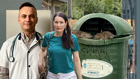 Dr. Adrian Marinescu, avertisment legat de șobolanii din Sectorul 1: „Leptospiroza ne poate pune în pericol viața / Rabia, mortală în procent de 100%”