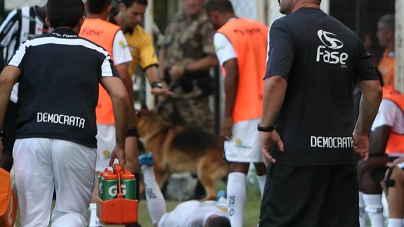 Fotbalist brazilian mușcat de un câine polițist în timpul unui meci