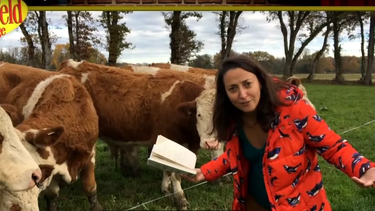 Celebrul Jerry Seinfeld, făcut KO de o româncă! La așa ceva chiar nu se aștepta actorul! - VIDEO